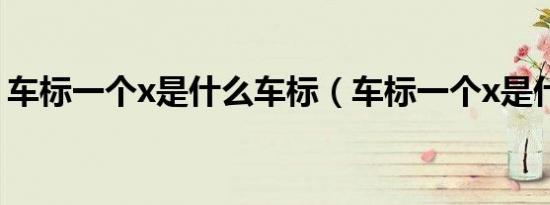 车标一个x是什么车标（车标一个x是什么车）