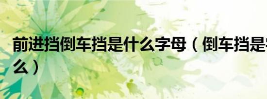 前进挡倒车挡是什么字母（倒车挡是字母是什么）