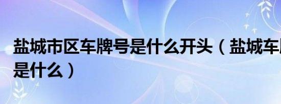盐城市区车牌号是什么开头（盐城车牌号开头是什么）