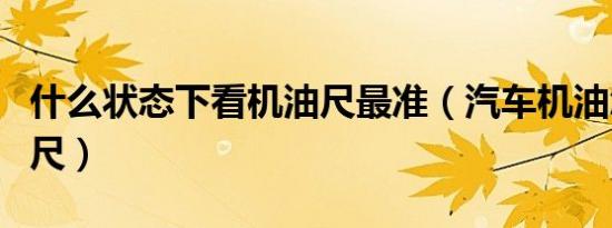 什么状态下看机油尺最准（汽车机油怎么看油尺）