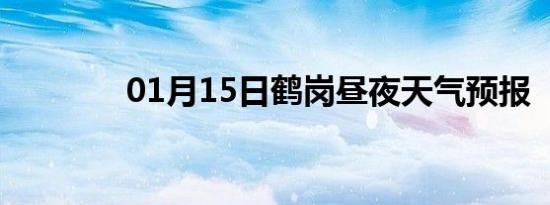 01月15日鹤岗昼夜天气预报