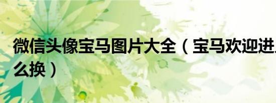 微信头像宝马图片大全（宝马欢迎进入头像怎么换）