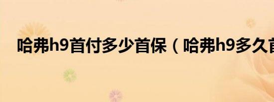 哈弗h9首付多少首保（哈弗h9多久首保）