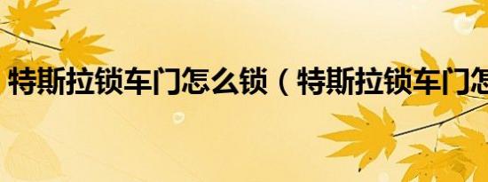 特斯拉锁车门怎么锁（特斯拉锁车门怎么锁）