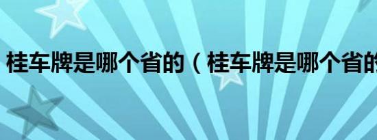 桂车牌是哪个省的（桂车牌是哪个省的简称）