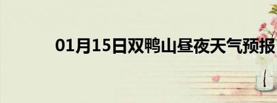 01月15日双鸭山昼夜天气预报