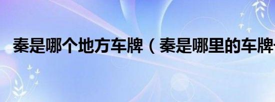 秦是哪个地方车牌（秦是哪里的车牌号码）