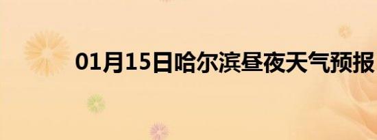 01月15日哈尔滨昼夜天气预报