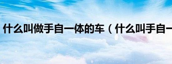什么叫做手自一体的车（什么叫手自一体车）