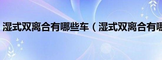 湿式双离合有哪些车（湿式双离合有哪些车）