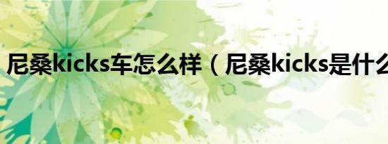 尼桑kicks车怎么样（尼桑kicks是什么汽车）
