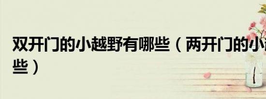 双开门的小越野有哪些（两开门的小越野有哪些）