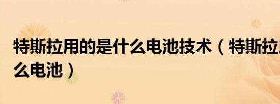 特斯拉用的是什么电池技术（特斯拉用的是什么电池）