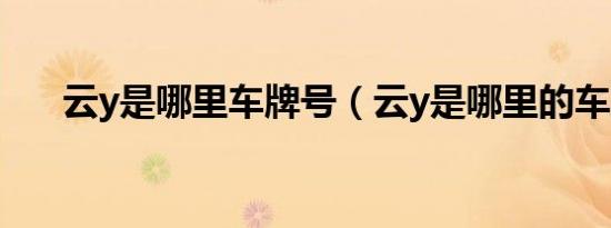 云y是哪里车牌号（云y是哪里的车牌）
