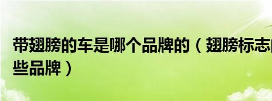 带翅膀的车是哪个品牌的（翅膀标志的车有哪些品牌）