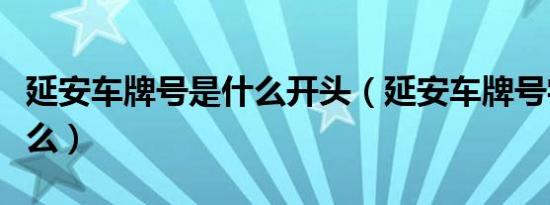 延安车牌号是什么开头（延安车牌号字母是什么）