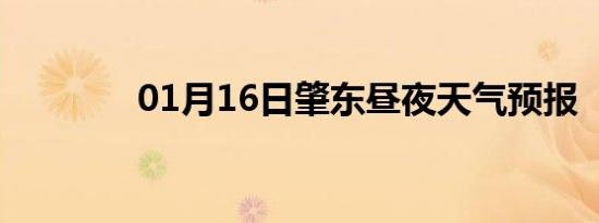 01月16日肇东昼夜天气预报