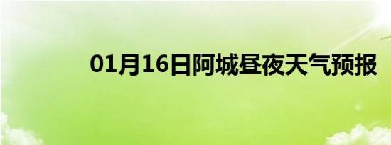 01月16日阿城昼夜天气预报