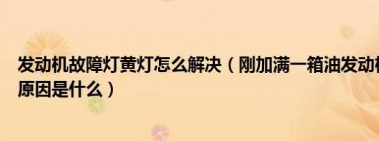 发动机故障灯黄灯怎么解决（刚加满一箱油发动机亮黄灯的原因是什么）