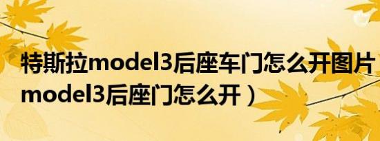 特斯拉model3后座车门怎么开图片（特斯拉model3后座门怎么开）