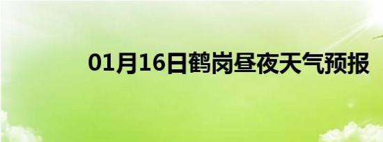 01月16日鹤岗昼夜天气预报