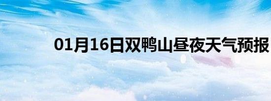 01月16日双鸭山昼夜天气预报