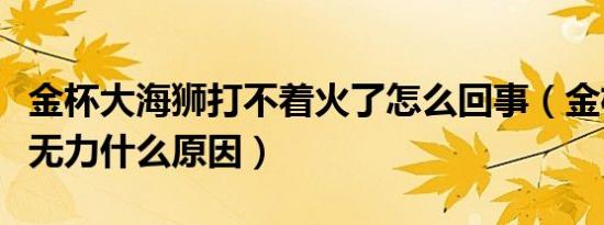 金杯大海狮打不着火了怎么回事（金杯大海狮无力什么原因）