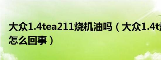 大众1.4tea211烧机油吗（大众1.4t烧机油是怎么回事）