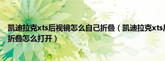 凯迪拉克xts后视镜怎么自己折叠（凯迪拉克xts后视镜自动折叠怎么打开）