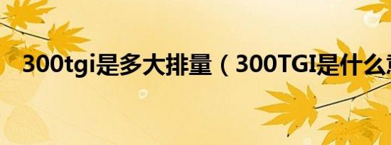 300tgi是多大排量（300TGI是什么意思）