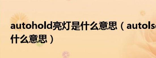 autohold亮灯是什么意思（autolsd灯亮是什么意思）