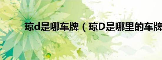 琼d是哪车牌（琼D是哪里的车牌）