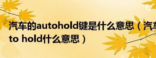 汽车的autohold键是什么意思（汽车按键auto hold什么意思）