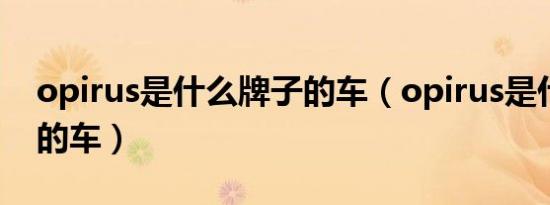 opirus是什么牌子的车（opirus是什么牌子的车）