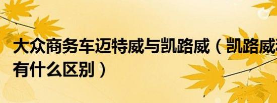 大众商务车迈特威与凯路威（凯路威和迈特威有什么区别）