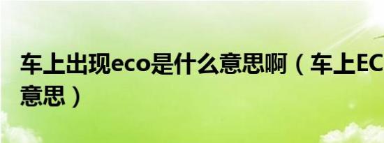 车上出现eco是什么意思啊（车上ECO是什么意思）