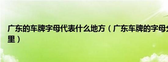 广东的车牌字母代表什么地方（广东车牌的字母分别代表哪里）