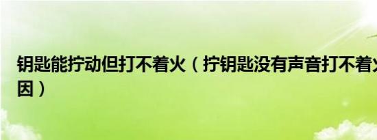 钥匙能拧动但打不着火（拧钥匙没有声音打不着火是什么原因）