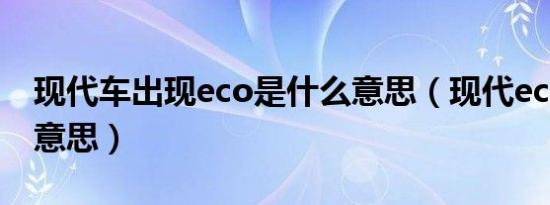 现代车出现eco是什么意思（现代eco是什么意思）