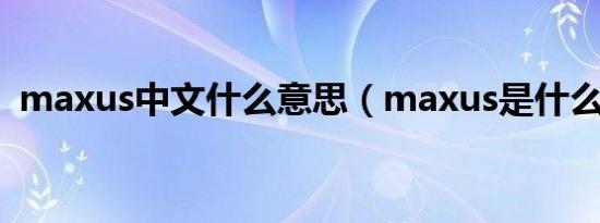 maxus中文什么意思（maxus是什么意思）