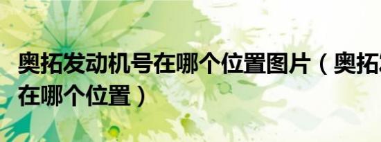 奥拓发动机号在哪个位置图片（奥拓发动机号在哪个位置）