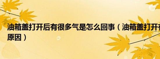 油箱盖打开后有很多气是怎么回事（油箱盖打开有气是什么原因）