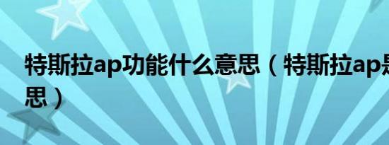 特斯拉ap功能什么意思（特斯拉ap是什么意思）