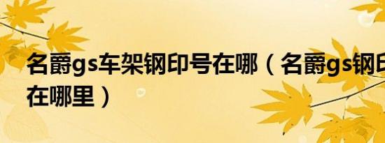 名爵gs车架钢印号在哪（名爵gs钢印车架号在哪里）