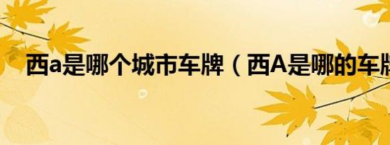 西a是哪个城市车牌（西A是哪的车牌号）