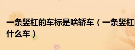 一条竖杠的车标是啥轿车（一条竖杠的车标是什么车）