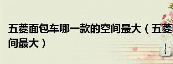五菱面包车哪一款的空间最大（五菱哪款车空间最大）