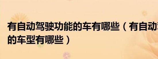有自动驾驶功能的车有哪些（有自动驾驶功能的车型有哪些）