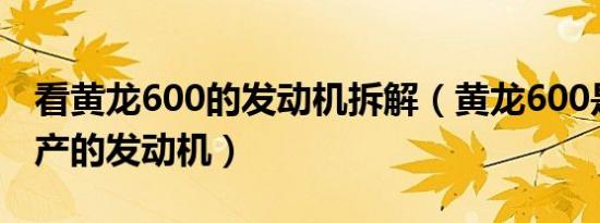 看黄龙600的发动机拆解（黄龙600是哪里生产的发动机）
