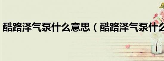 酷路泽气泵什么意思（酷路泽气泵什么意思）
